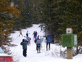 Cross-country skiing in Kananaskis, Alberta (Canada)