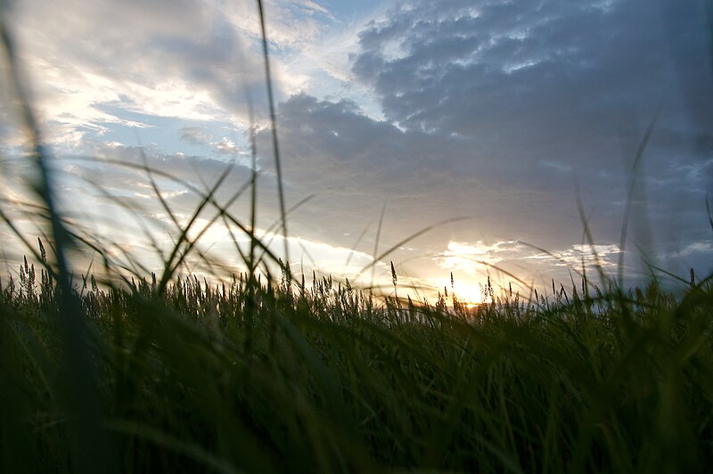 File:Sunset in steppe, Rostov-on-Don, Russia.jpg