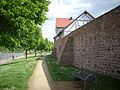 Hochwasserschutzwand als Teil der alten Stadtmauer mit vorgelagerter Mainanlage