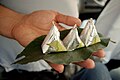 Paan, (betel leaves) being served with silver foil, Sarnath near Varanasi.