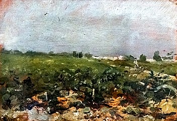   Céleyran, Vue des vignes