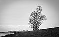 Exposure ('De hurkende man') Kunstwerk van Antony Gormley.