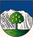 oewiki:Datei:AUT Wals-Siezenheim COA.png