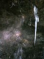 Group of icicles inside the Grotta del Gelo