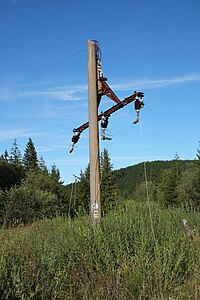 Dead utility pole