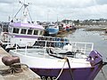 Roscoff : l' Etoile du berger et autres bateaux de pêche à quai