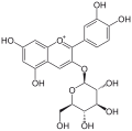 Deutsch: Struktur von Cyanidin-3-glucosid English: Structure of cyanidin 3-glucoside (chrysontemin)