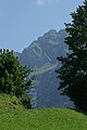 Blick auf die Kanisfluh von Hirschlitten (Mellau)