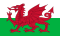 Flag of Wales / Cymru