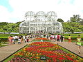 The Curitiba Botanical Garden, Jardim Botânico.