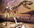 Gorgosaurus