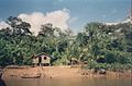 House at Amazon Basin (1990)