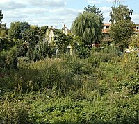 <File:Tourcoing usine masurel depuis rue pierre prevost mouvaux.jpgcenter>Maison et son jardin, rue d'Hallennes, à Sequedin