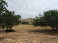 northeast of Taroudant, Sous Valley, Morocco