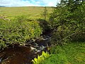 Thumbnail for File:Allt Orain, near Bridge of Orchy - geograph.org.uk - 4552663.jpg