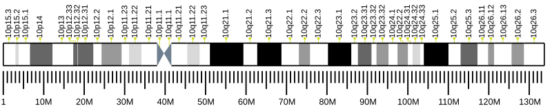 File:Human chromosome 10 ideogram.svg