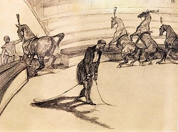   Au cirque ; chevaux en liberté