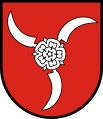 Coat of arms of Modliborzyce, Poland