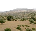 Vue d'ensemble de Tarik Ibn Ziad