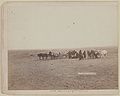 "The shepherd and flock." On F.E. & M.V. R'y. in Dakota (1891, LC-DIG-ppmsc-02685)