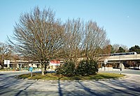 Rond-point avenue Paul Langevin, à Villeneuve d'Ascq.