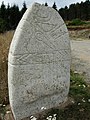 Statue-menhir de Salverguettes.