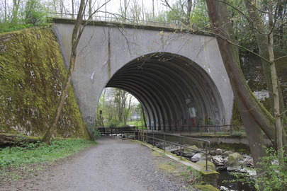 Schwalm-Radweg (cycling trail) entlang der Schwalm (a river) und Nord-Süd-Radfernweg R4 in Hessen über den Vogelsberg