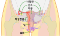 한국어