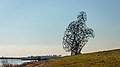 Exposure ('De hurkende man') Kunstwerk van Antony Gormley.