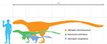 Utahraptor compared to Deinonychus and Velociraptor