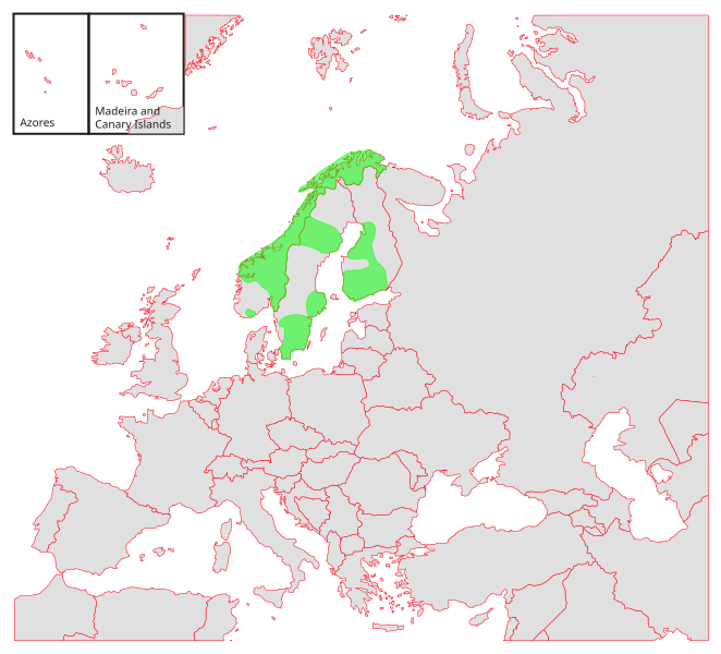 File:Expansion of hogweed B.svg