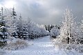 "Silesian_-_Moravian_Beskids_in_winter_2014.JPG" by User:Pudelek