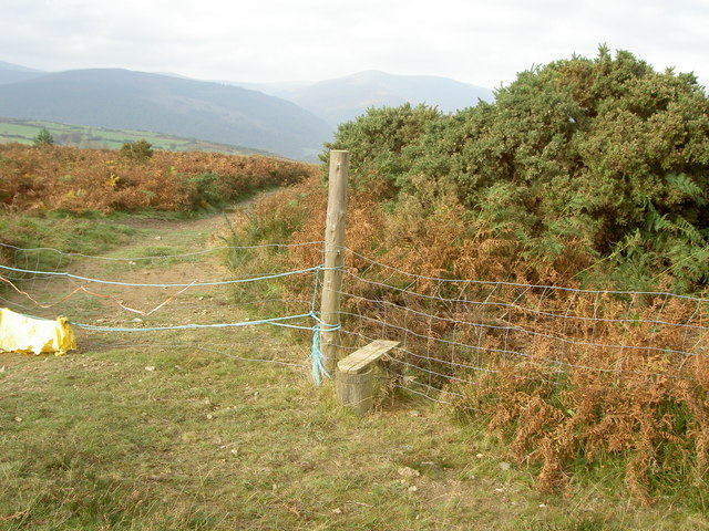 File:Small Stile - geograph.org.uk - 599540.jpg