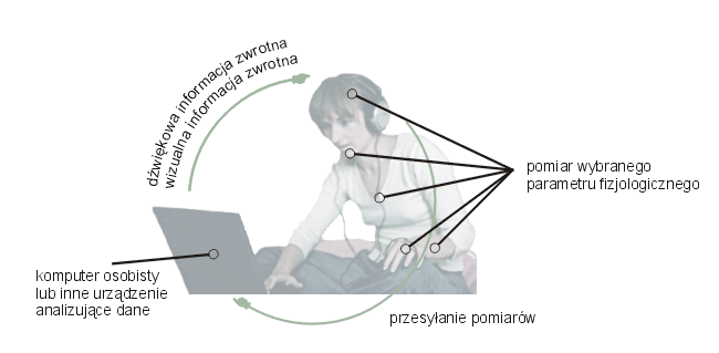 File:Biofeedback with border.png