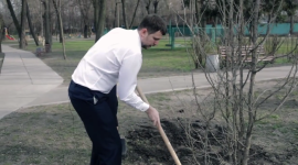 Киян закликають підтримати Tree-challenge «Посади дерево»