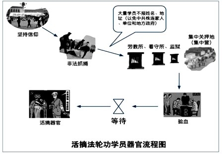 活摘法轮功学员流程图（大纪元资料库）