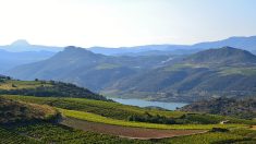 Pyrénées-Orientales : le barrage de Caramany au niveau maximal après deux ans de sécheresse