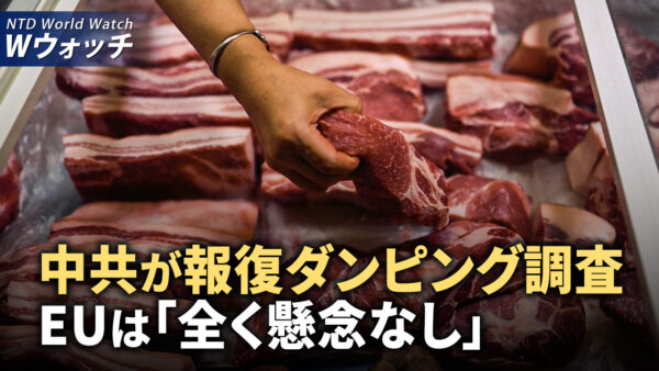 中国、豚肉のダンピング調査、EUは「全く懸念なし」/資金難に30年前の税金を追徴、民間企業が困窮 など｜NTD ワールドウォッチ（2024年6月19日）