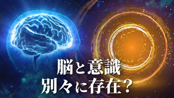 脳と意識は独立して別々に存在するのか？【未解決ミステリー】