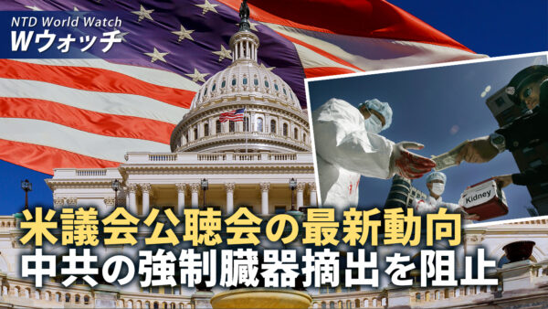 米議会公聴会の最新の動き　中共の臓器狩りを阻止/中国で新たな感染拡大、急死する医師や警察の実態 など｜NTD ワールドウォッチ（2024年3月22日）