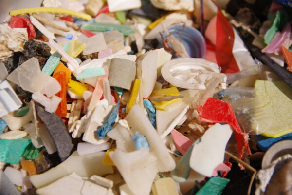 マイクロプラスチックが脳を含む主要臓器に及ぼす潜在的影響、科学的に明らかに（上）