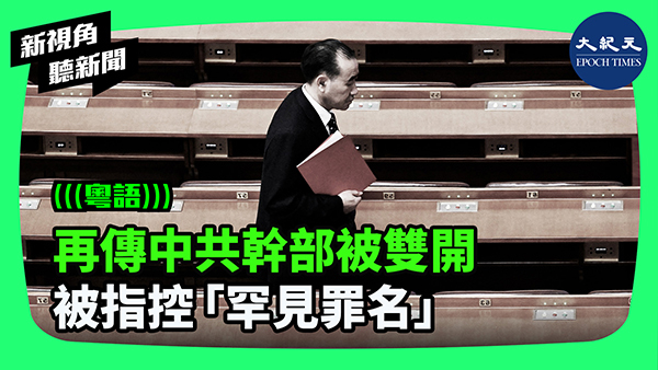 再傳中共幹部被雙開 被指控「罕見罪名」