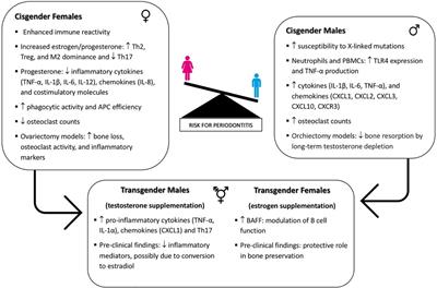 Unveiling sex-disparities and the impact of gender-affirming hormone therapy on periodontal health