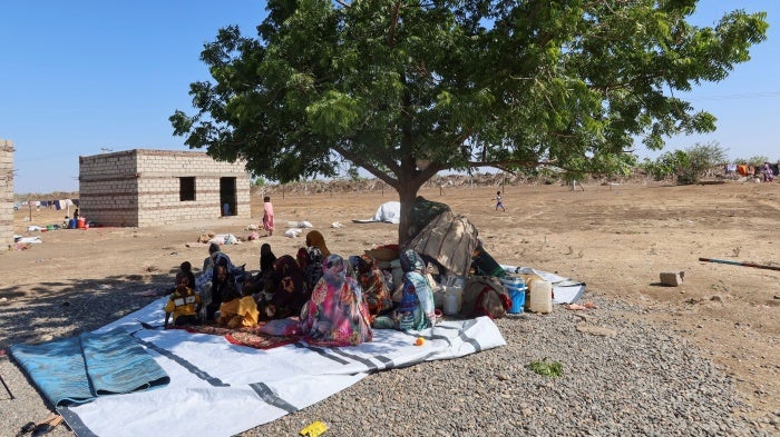 People displaced from Gezira state by the Rapid Support Forces seek shade in New Halfa, Kassala state, Sudan, November 3, 2024.