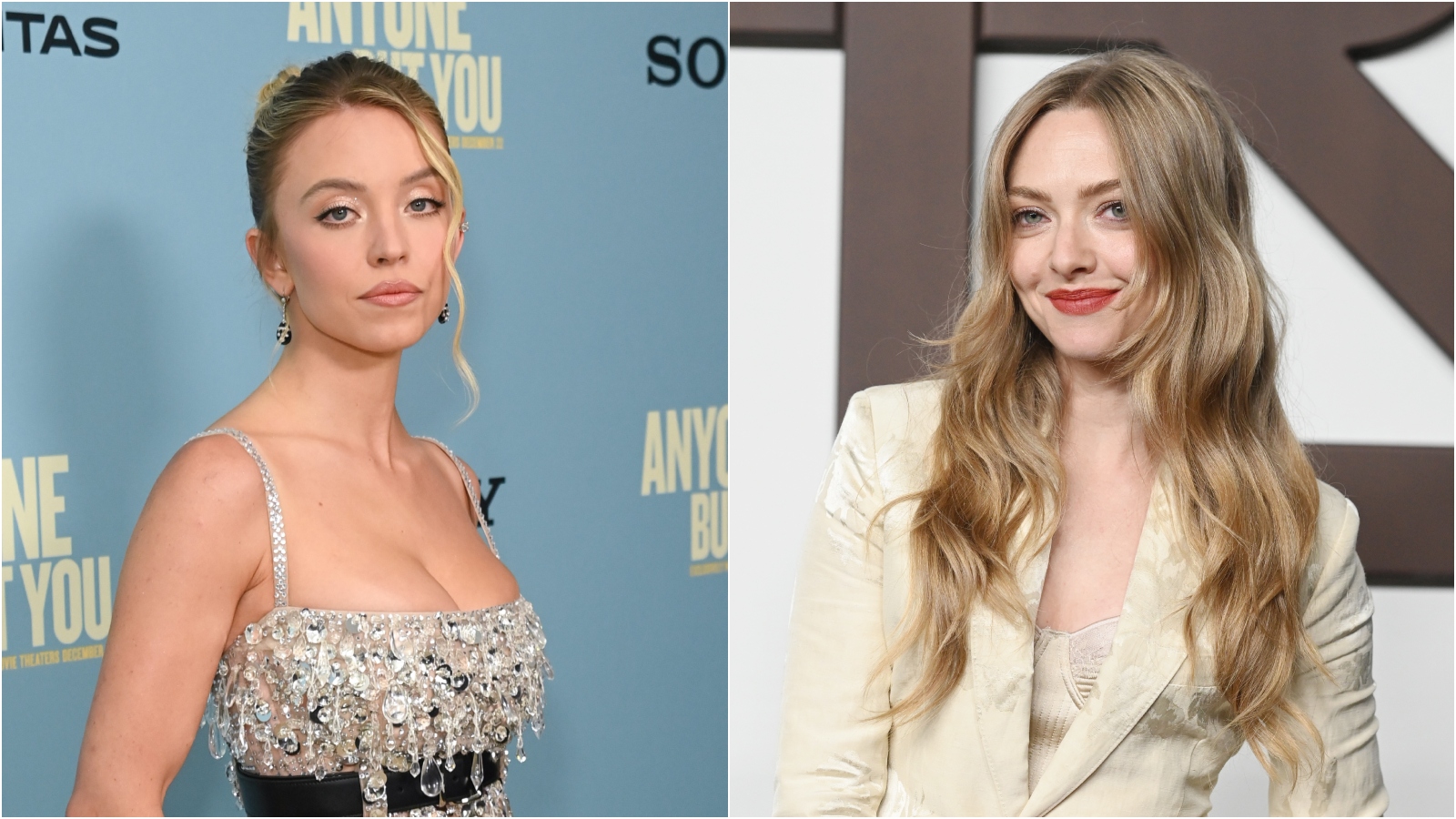 Sydney Sweeney Amanda Seyfried The Housemaid