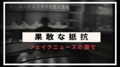 果敢な抵抗ーフェイクニュースの国で