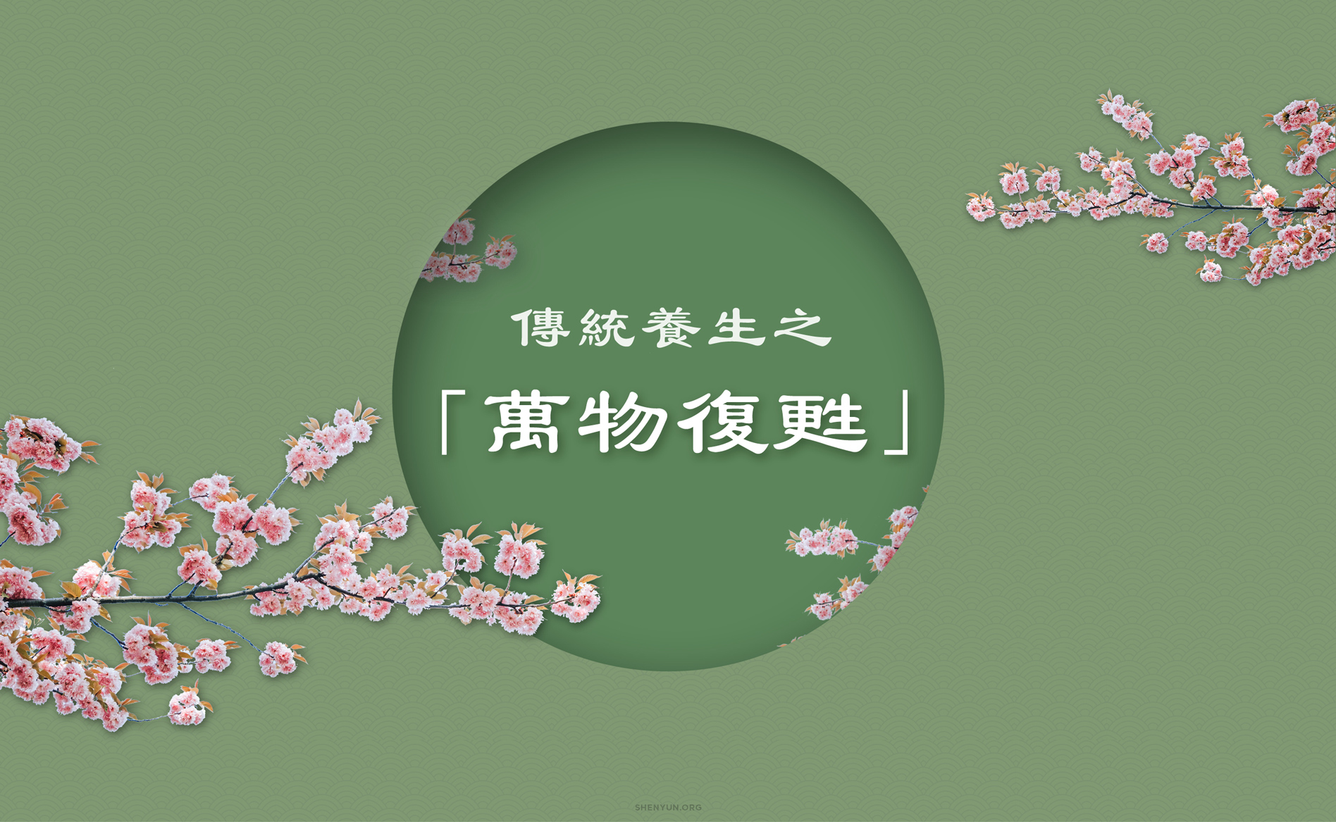 Lifehack Spring Header CHINESE UPDATED