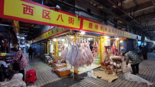 Study authors are almost certain the virus originated from Wuhan Seafood Market in China, but critics say no evidence has shown an animal at the market was infected with the virus before the outbreak