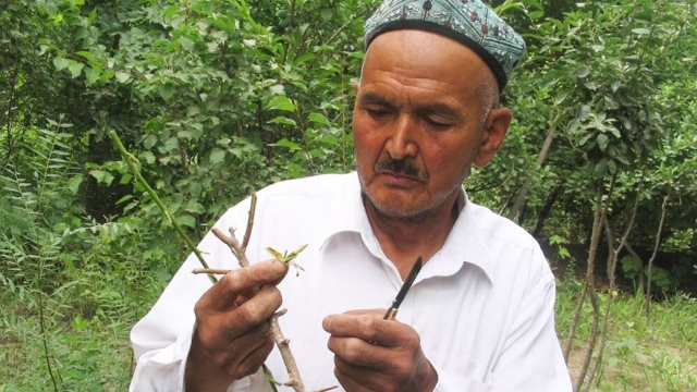 阿齊茲（Aziz）的父親，伊薩·阿卜杜拉（Isa Abdullah），拍攝於2006年