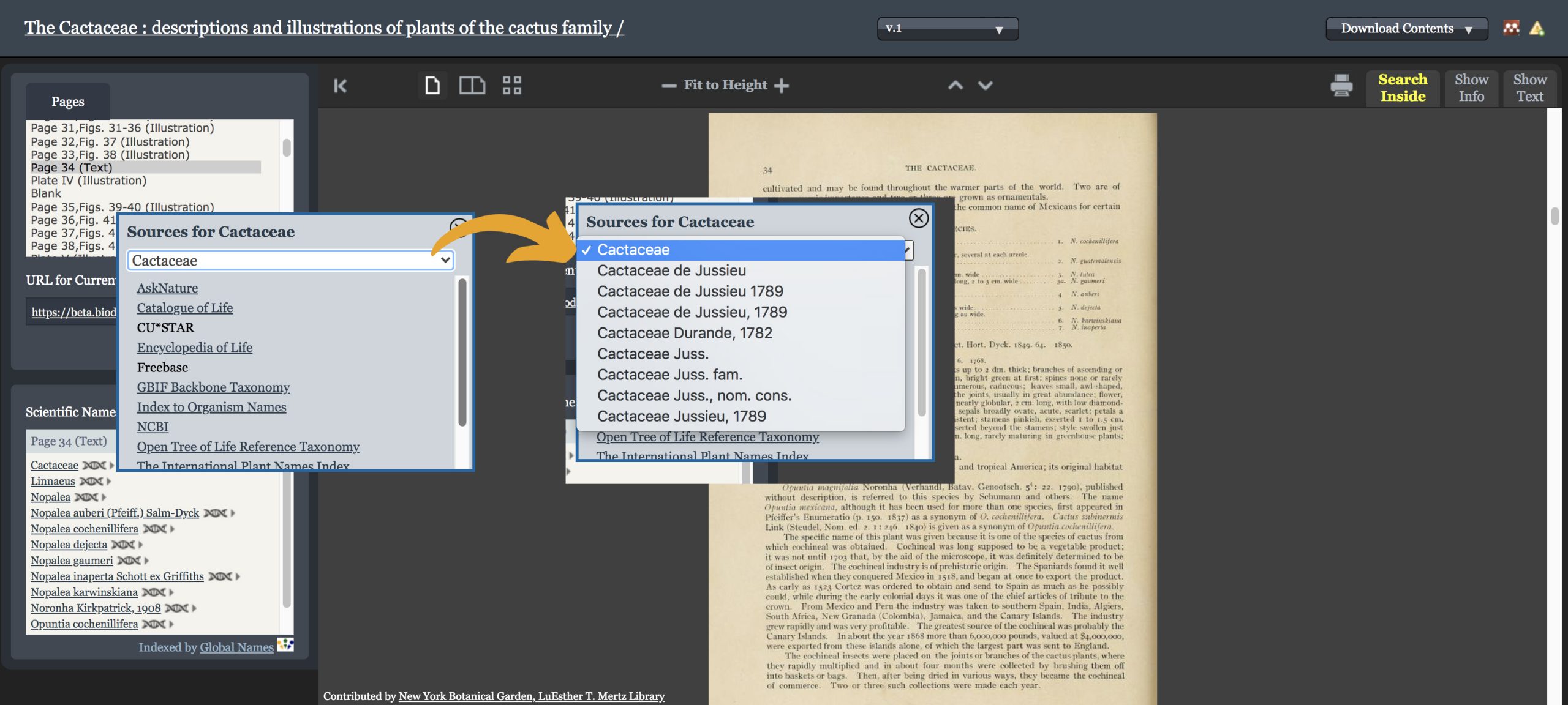 A digital book viewer interface with a popup box listing taxonomic database sources for the name Cactaceae.